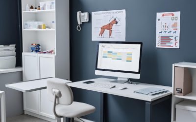 Vet Clinic Automation: Streamline Operations and Enhance Client Engagement